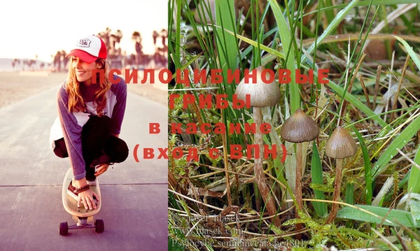 PSILOCYBIN Абдулино