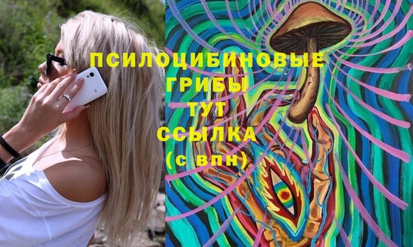 PSILOCYBIN Абдулино