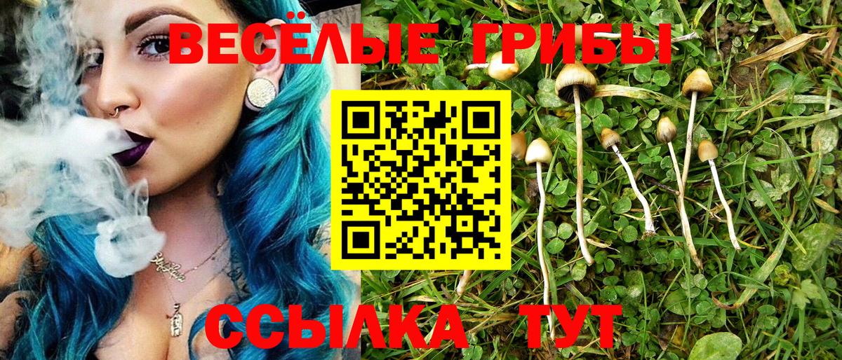 Ангарск  Псилоцибиновые грибы мухоморы  Псилоцибиновые грибы Psilocybine cubensis  Вход с VPN 
