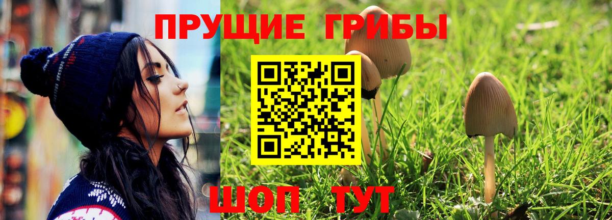 Псилоцибиновые грибы прущие грибы Ангарск